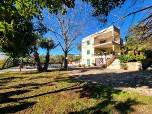 Fasano - Villa in pietra con piscina e giardino - T991