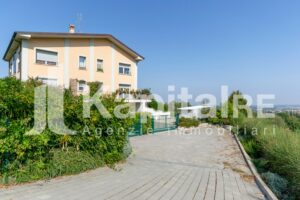 Tolara (44)