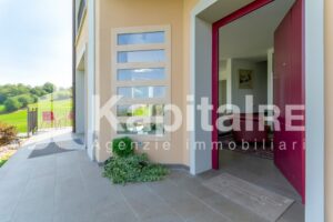 Tolara (7)