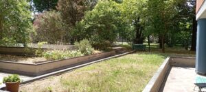15 giardino