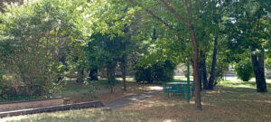 16 giardino