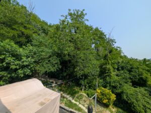 19 giardino comune