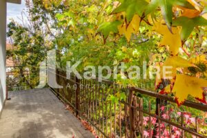 Marciatori (28 di 34)