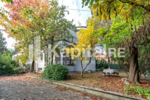 Marciatori (4 di 34)