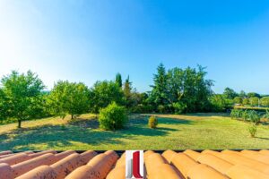 Via Goccianello, 22 Imola-141