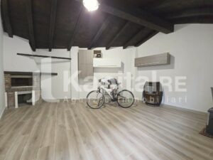 WhatsApp Image 2026-02-25 at 12.22.49