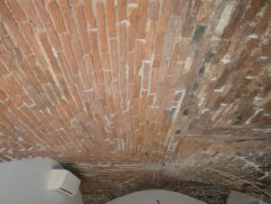 WhatsApp Image 2026-03-13 at 15.49.41 (1)