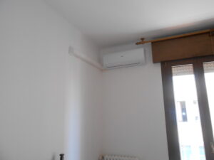 DSCN5882